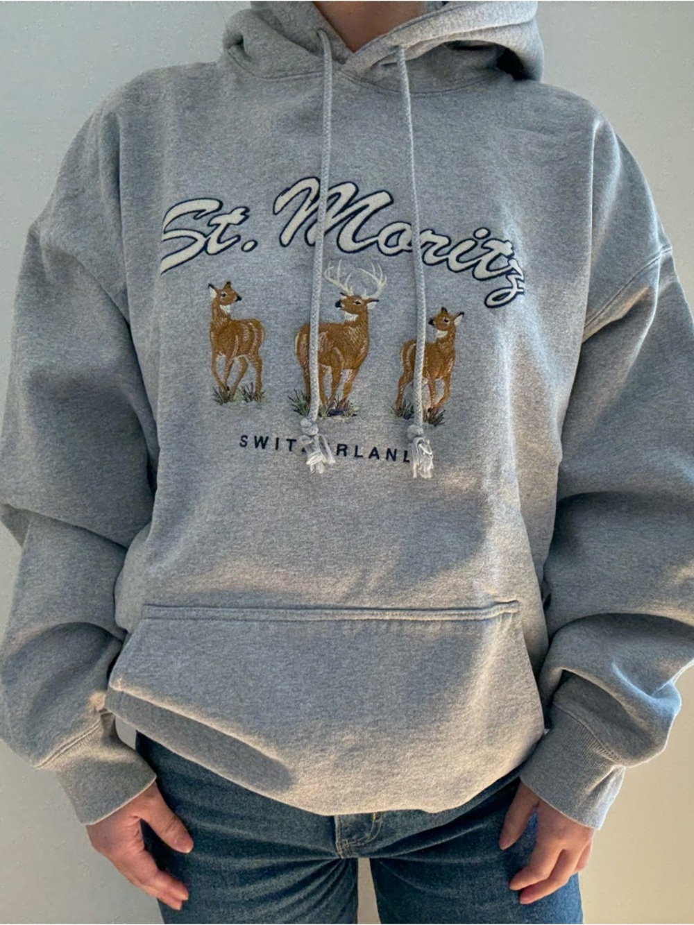 Brandy Melville St. Moritz Christy Hoodie